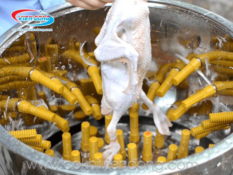 máy làm lông gà vịt