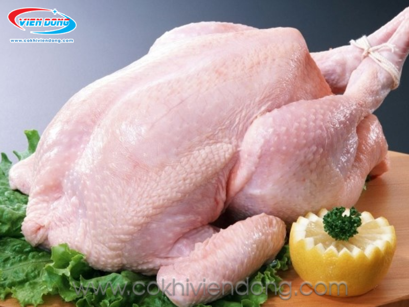 Máy làm lông gà VD50 Máy làm lông gà VD50